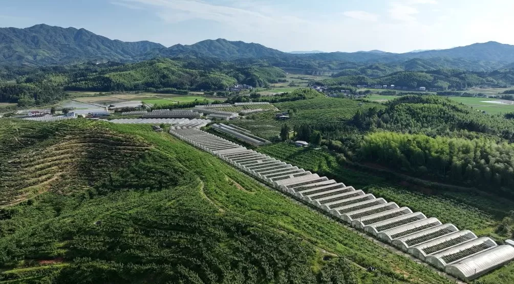 读懂建宁｜一座山区小城的积极尝试，找到数字化发展关键-第9张图片-