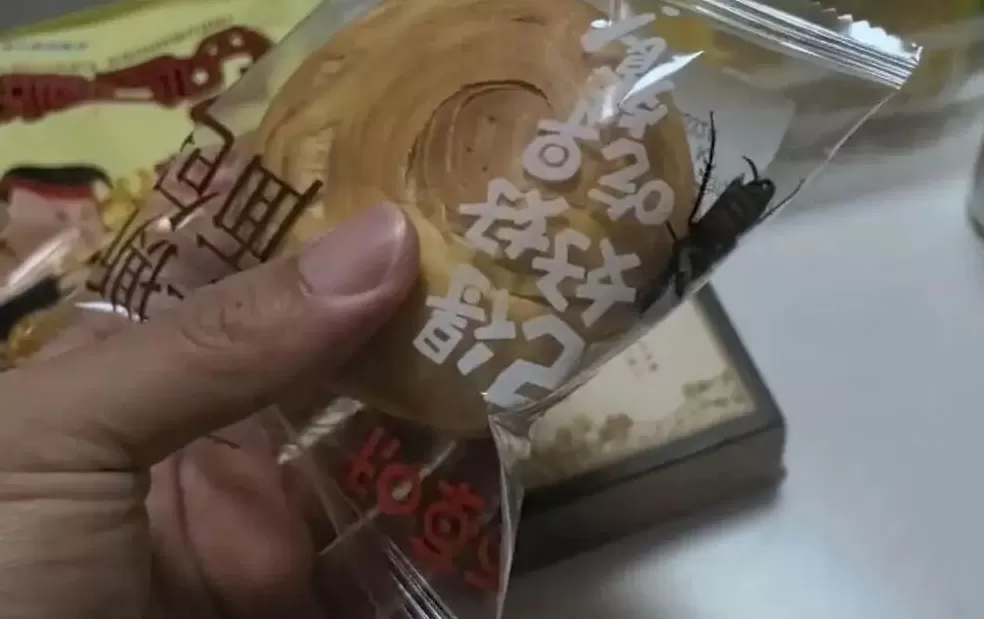 活蟑螂惊现密封袋装面包内！消费者回应质疑；品牌与厂家发声-第1张图片-