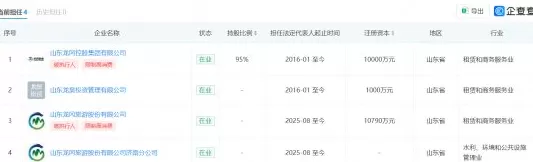 华海财险1.2亿股权遭司法冻结，董事张倩已被限制高消费-第5张图片-