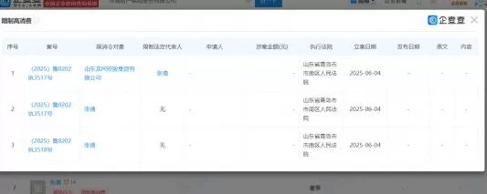 华海财险1.2亿股权遭司法冻结，董事张倩已被限制高消费-第1张图片-
