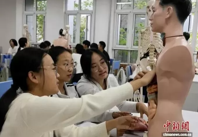 大学开设“带娃”专业，学什么？去哪里就业？-第5张图片-