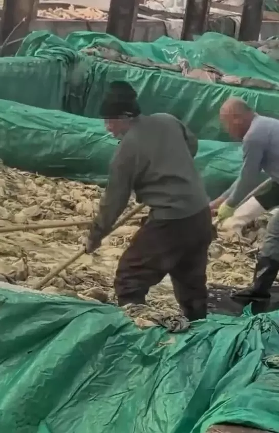 辽宁一男子在酸菜池抽烟乱吐，当地回应：非常重视，相关人员已抵达现场进行调查-第1张图片-