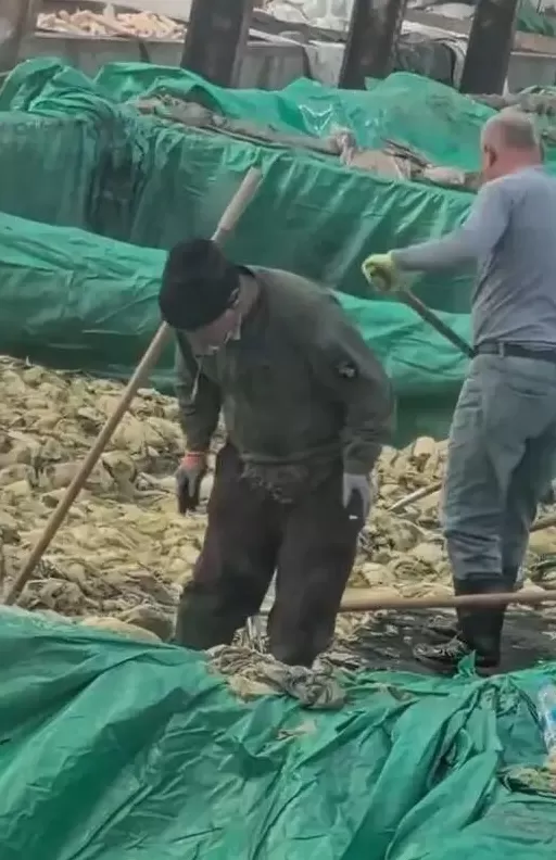 辽宁一男子在酸菜池抽烟乱吐，当地回应：非常重视，相关人员已抵达现场进行调查-第2张图片-