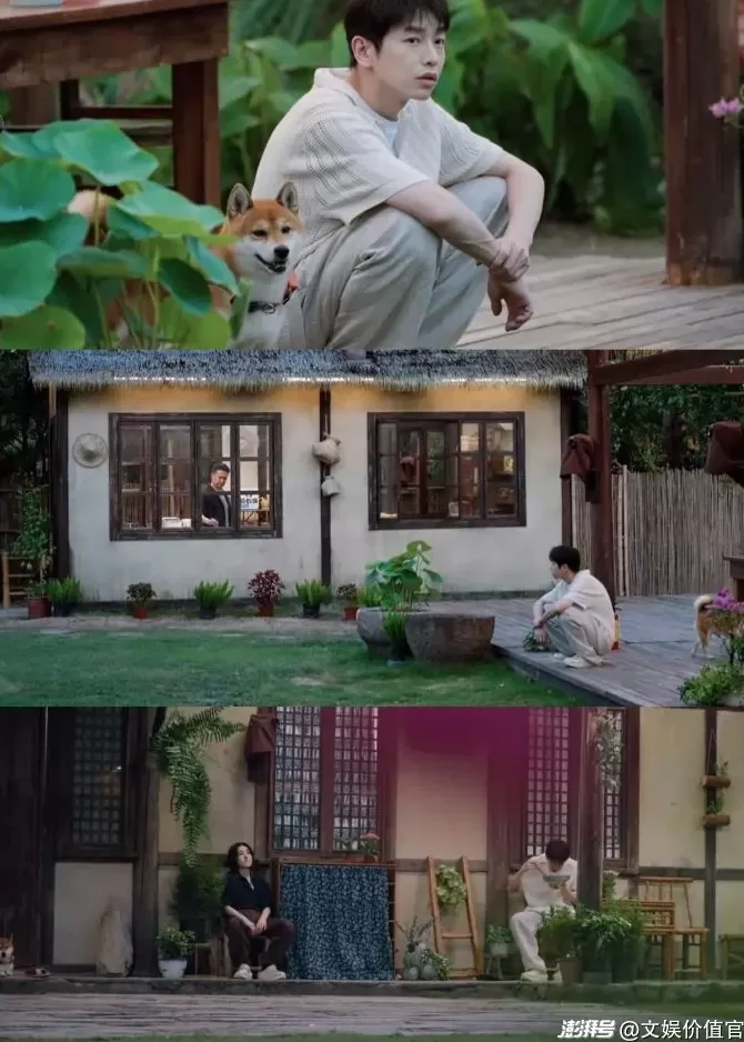 在“人生样板间”中，综艺似乎找到了各自的“正解”-第5张图片-