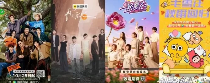 在“人生样板间”中，综艺似乎找到了各自的“正解”-第1张图片-