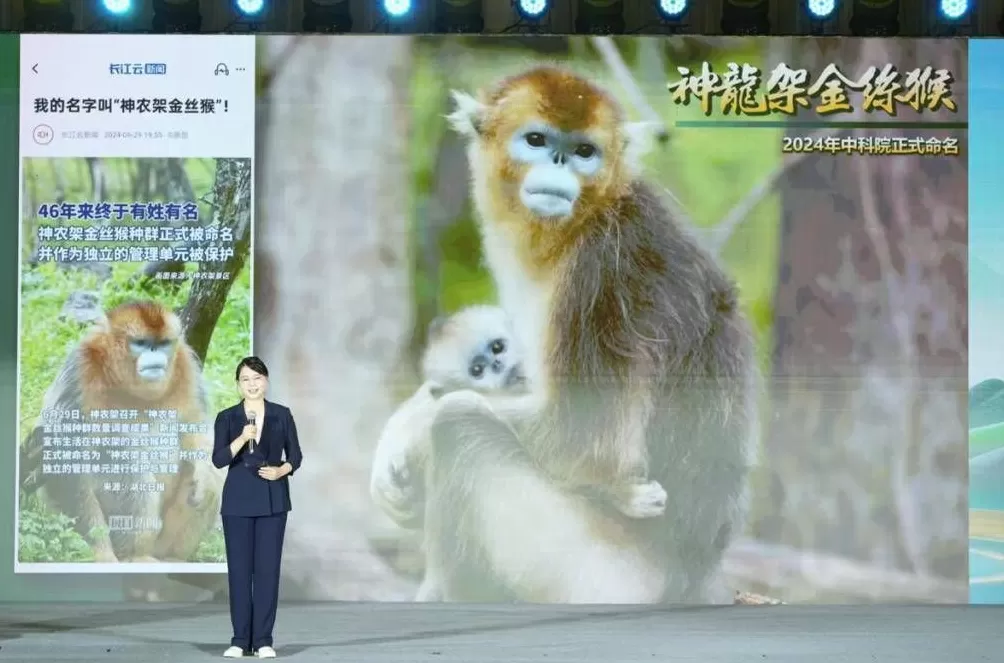 何以中国·家住长江边｜从秦简家书到脑机接口，解读湖北的古今之变-第3张图片-