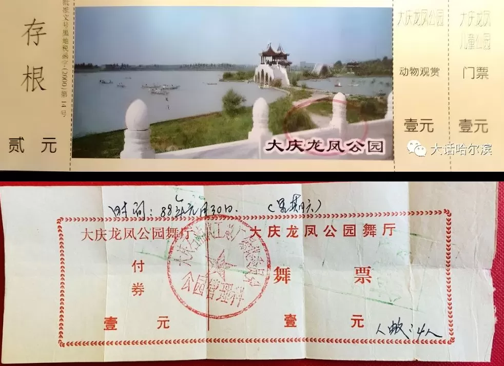 龙凤公园的死与生：一座东北油城的微观绿化史-第1张图片-