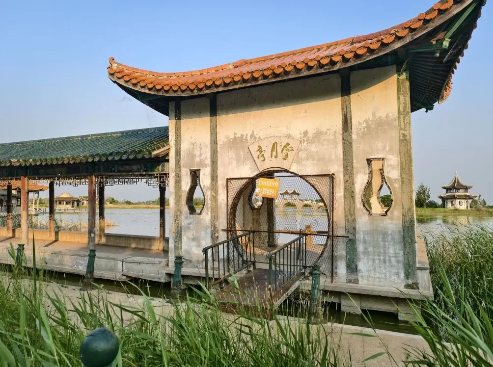 龙凤公园的死与生：一座东北油城的微观绿化史-第2张图片-