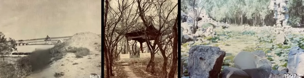 龙凤公园的死与生：一座东北油城的微观绿化史-第3张图片-