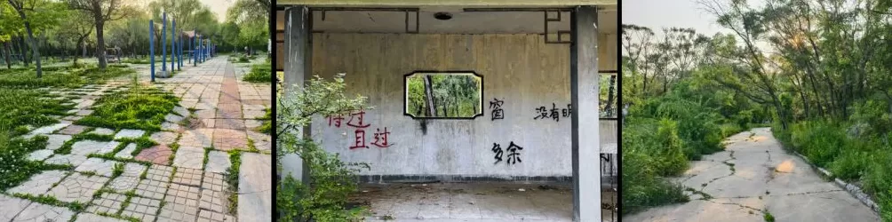 龙凤公园的死与生：一座东北油城的微观绿化史-第4张图片-