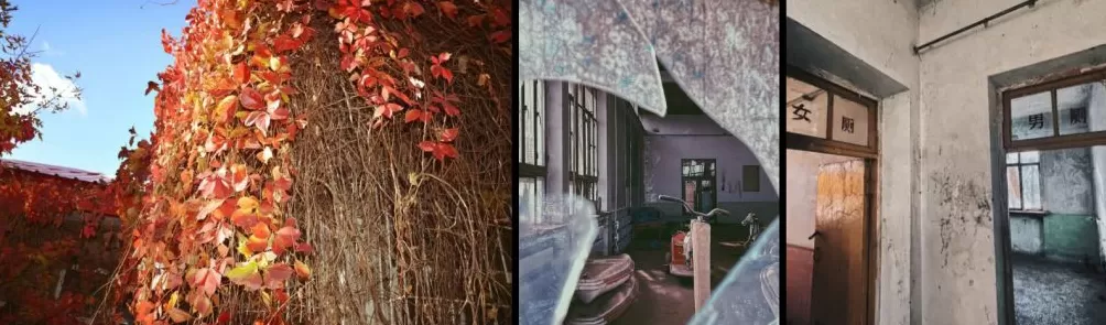 龙凤公园的死与生：一座东北油城的微观绿化史-第5张图片-