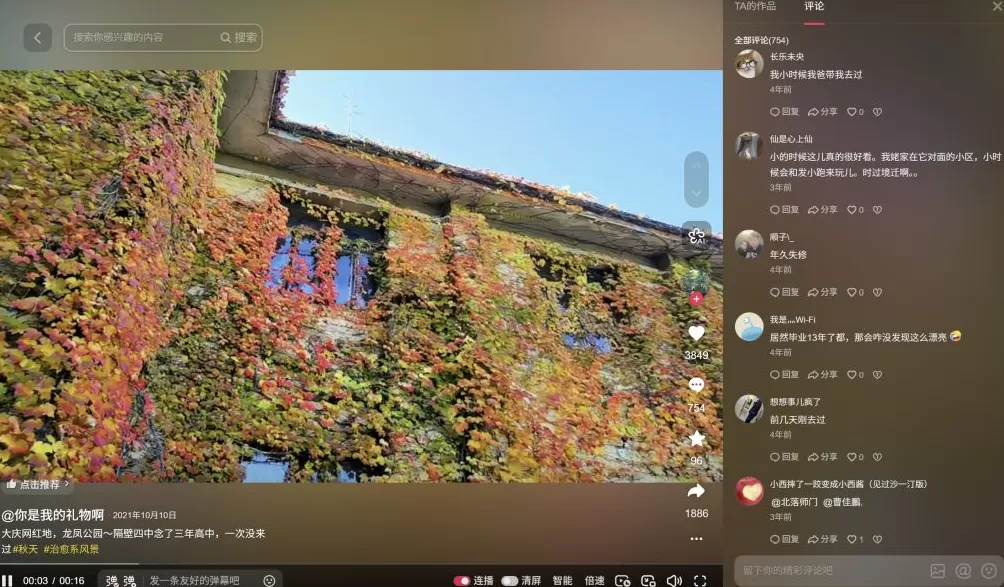 龙凤公园的死与生：一座东北油城的微观绿化史-第6张图片-
