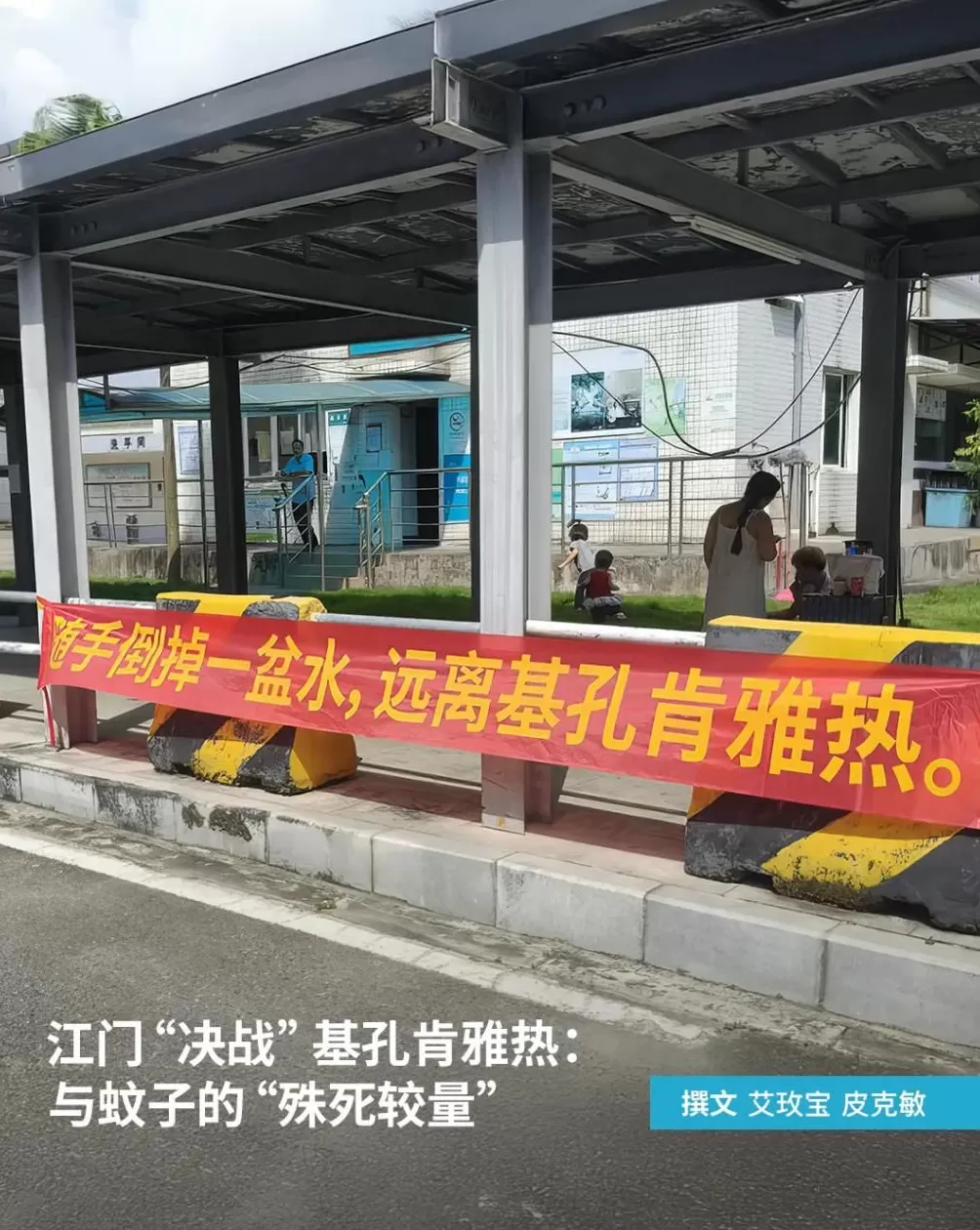 广东江门“决战”基孔肯雅热：与蚊子的“殊死较量”-第1张图片-