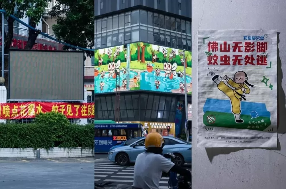 广东江门“决战”基孔肯雅热：与蚊子的“殊死较量”-第5张图片-