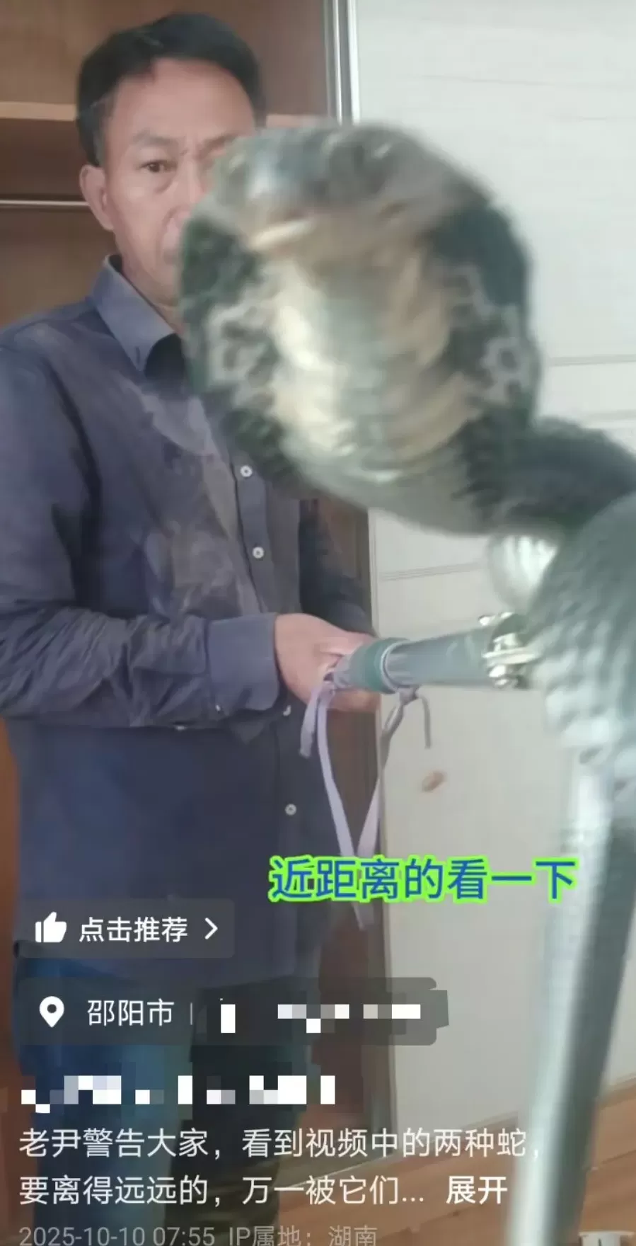 湖南邵阳一“直播抓蛇”网红被毒蛇咬伤后失联，嫌血清贵不打-第1张图片-