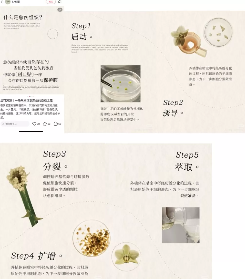 护肤品牌“LAN”被指产品备案信息与品牌宣传不符：有潜在原料安全风险-第2张图片-