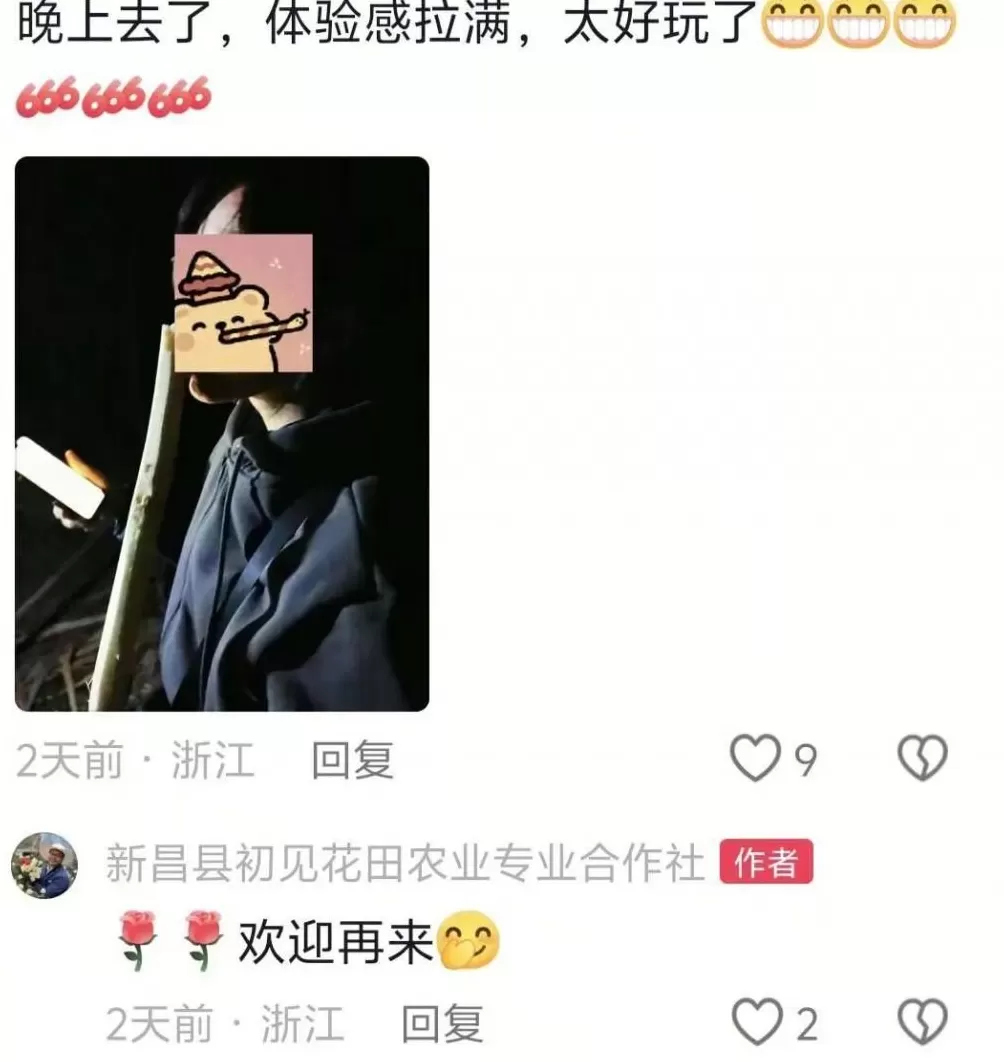 正大光明“偷”甘蔗，“小偷”们付了6000多元，图啥？-第2张图片-