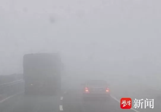 津石高速因“团雾”连发4起事故致1死1伤！遇到“团雾”该如何处理？交警支招-第1张图片-