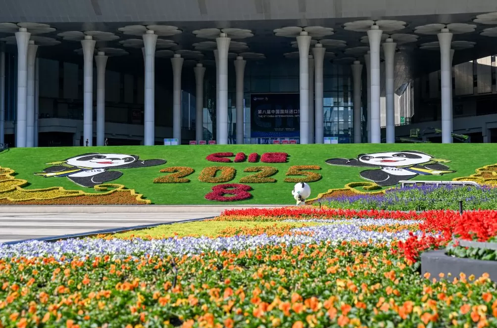 进博直击｜四叶草全面“定妆”，静待第八届进博会开幕-第3张图片-