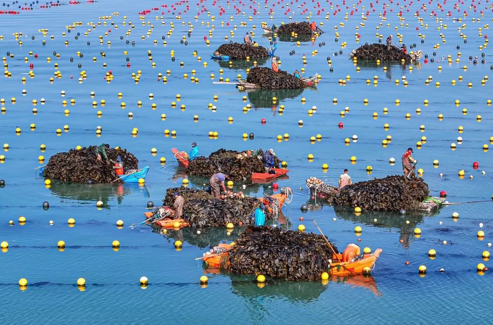 去年全国海洋生产总值达10.5万亿元，海洋经济圈持续扩能-第1张图片-