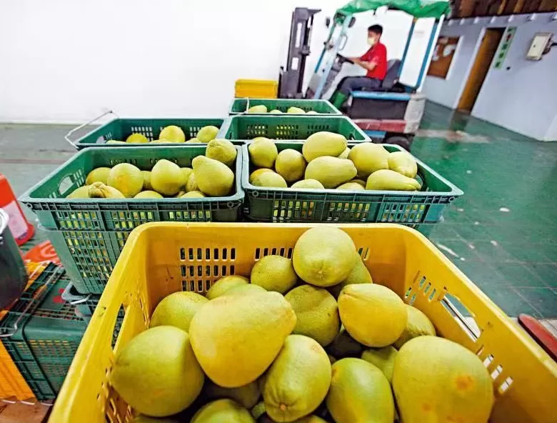 七个“更好”，戳中了岛内哪些痛点？-第2张图片-