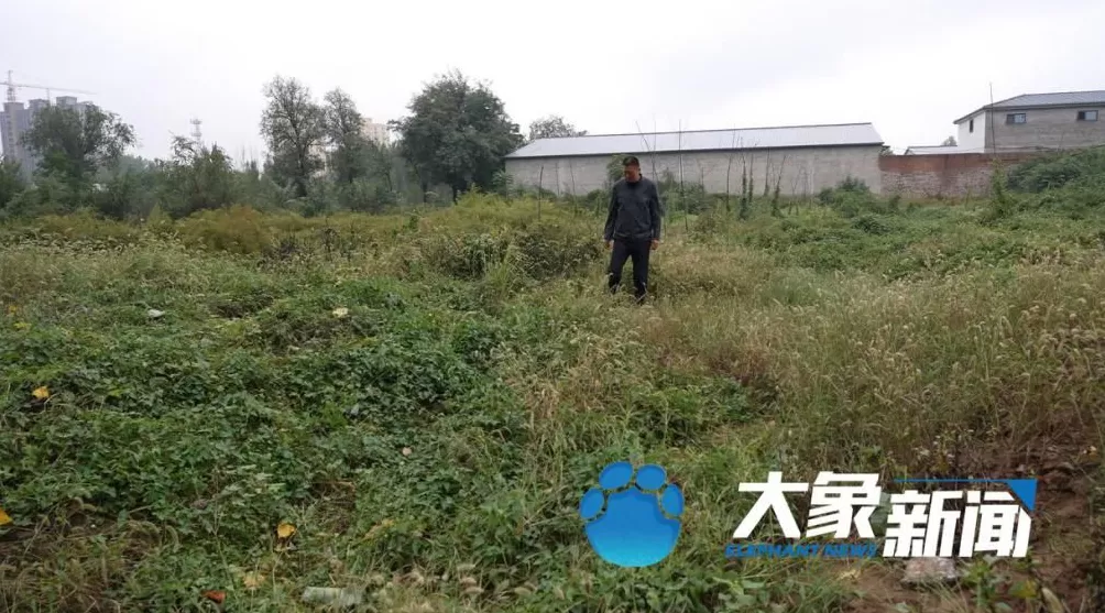 邯郸女子失踪35年未立案，公众疑问待解-第5张图片-