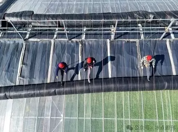 冬天提前了吗？-第1张图片-