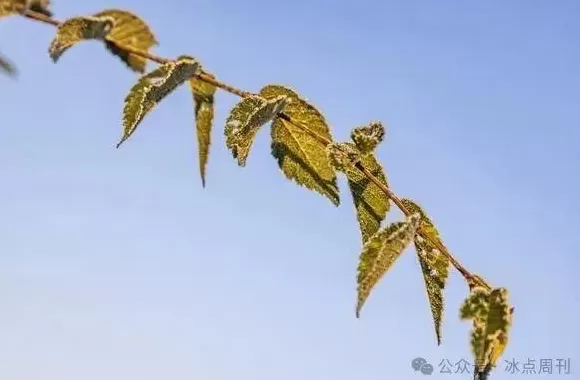 冬天提前了吗？-第5张图片-