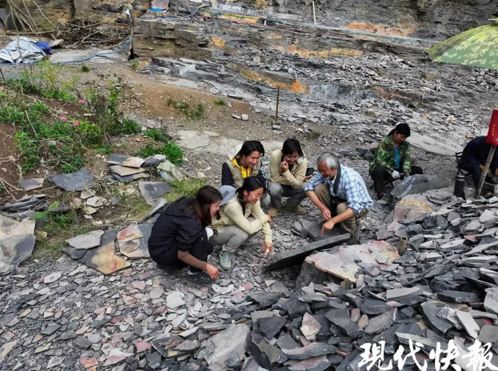 揭开寒武纪生命大爆发前夜的秘密，“虫虫工程师”搅动海底改变世界-第1张图片-