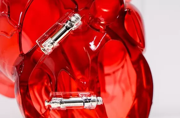 AI助听器、全球首发创新药……这些进博会好物提前剧透-第6张图片-