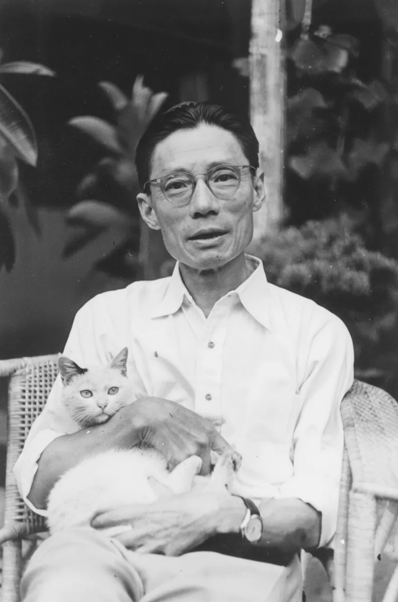 夏衍诞辰125周年｜专访沈芸：我爷爷终身都有地下党情结，他不喜欢讲苦难-第1张图片-