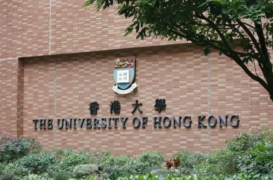 留学杀猪盘，80万上名校-第9张图片-