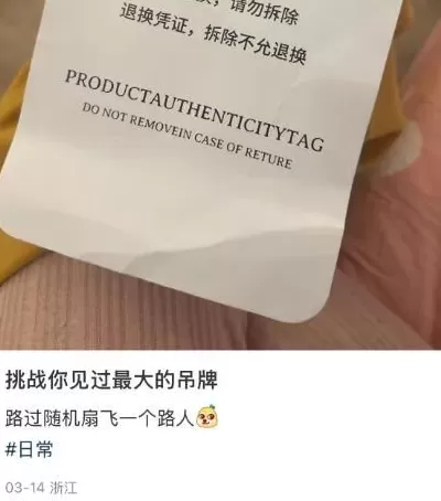 退款率300%，商家崩溃了-第4张图片-