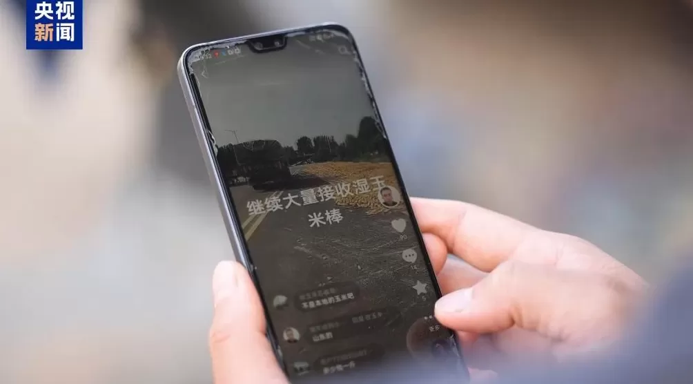 100多吨小麦卖28万元后账户被冻结警惕“购粮洗钱”新套路-第1张图片-