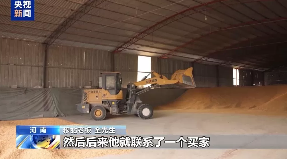 100多吨小麦卖28万元后账户被冻结警惕“购粮洗钱”新套路-第4张图片-