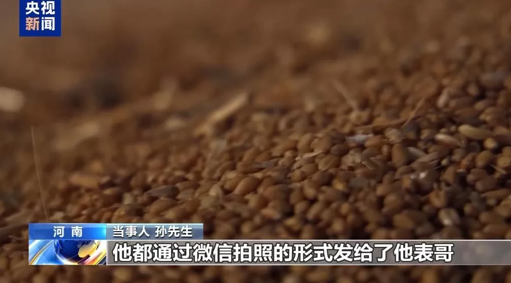 100多吨小麦卖28万元后账户被冻结警惕“购粮洗钱”新套路-第6张图片-