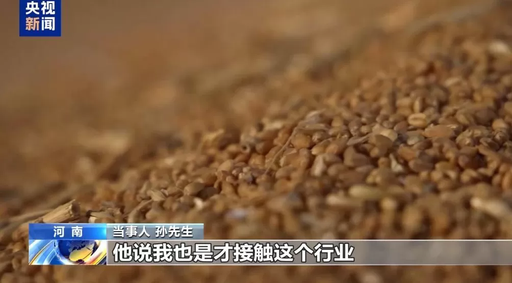 100多吨小麦卖28万元后账户被冻结警惕“购粮洗钱”新套路-第7张图片-