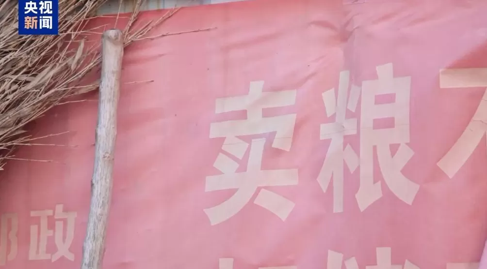 100多吨小麦卖28万元后账户被冻结警惕“购粮洗钱”新套路-第10张图片-