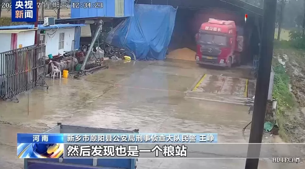 100多吨小麦卖28万元后账户被冻结警惕“购粮洗钱”新套路-第18张图片-