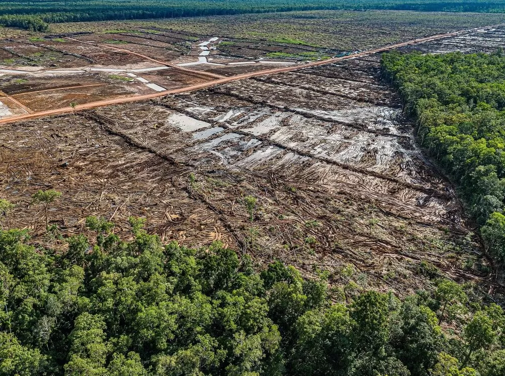 气候资讯｜10月全球前沿气候科学研究&极端天气气候事件-第2张图片-