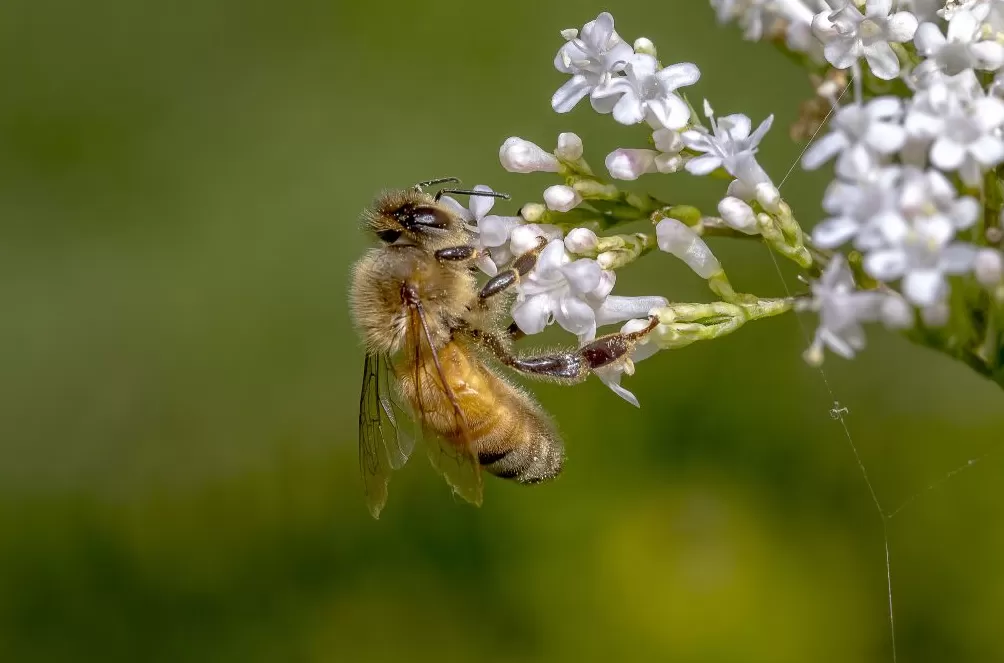气候资讯｜10月全球前沿气候科学研究&极端天气气候事件-第8张图片-