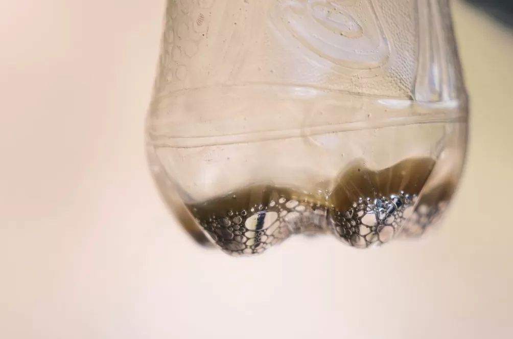 气候资讯｜10月全球前沿气候科学研究&极端天气气候事件-第9张图片-