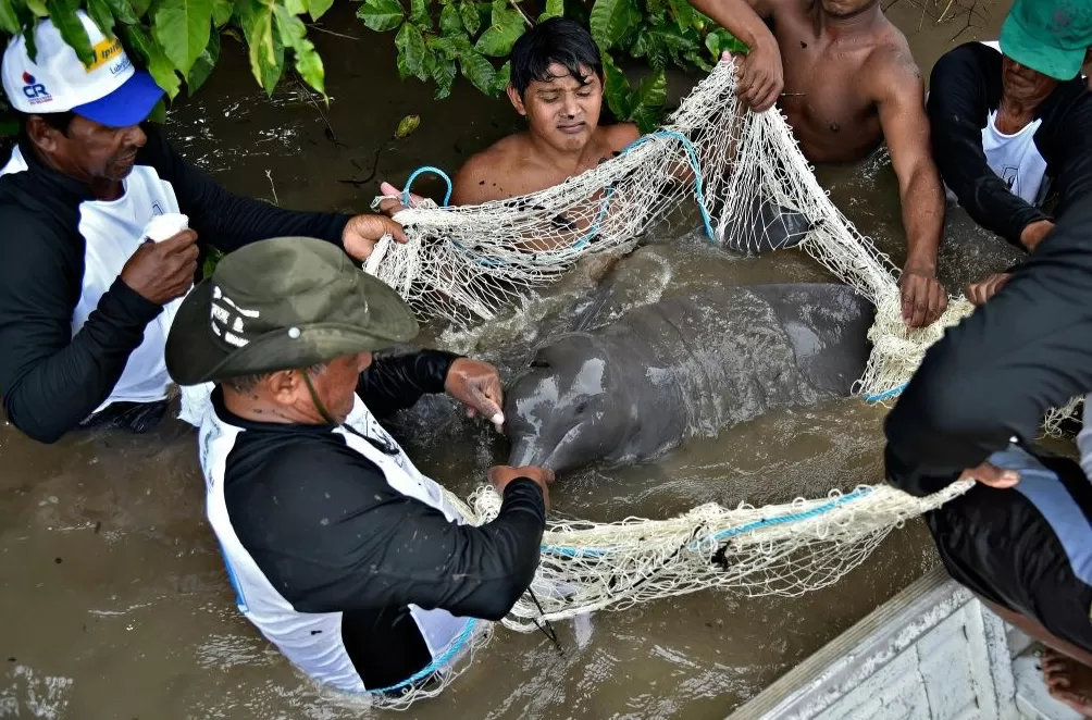 气候资讯｜10月全球前沿气候科学研究&极端天气气候事件-第10张图片-
