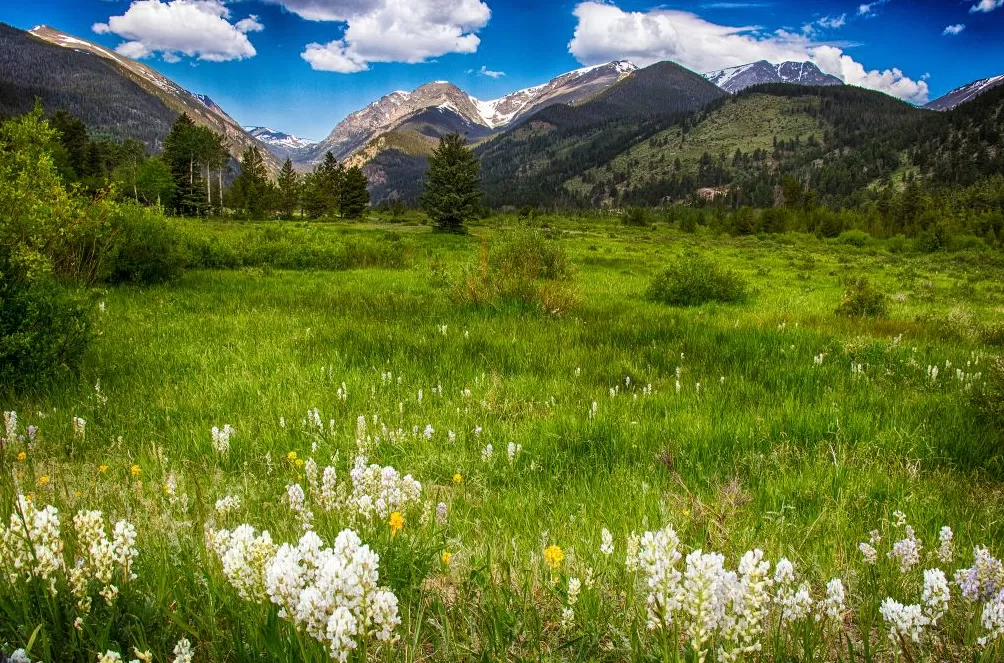 气候资讯｜10月全球前沿气候科学研究&极端天气气候事件-第17张图片-