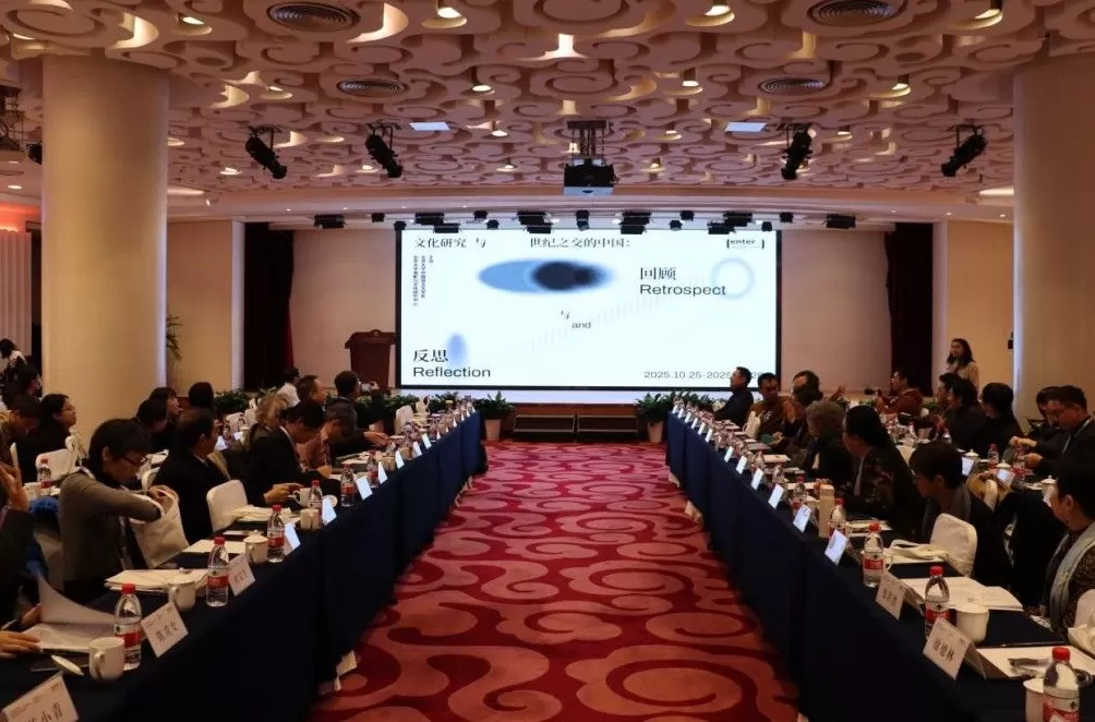 戴锦华与文化研究三十年-第1张图片-