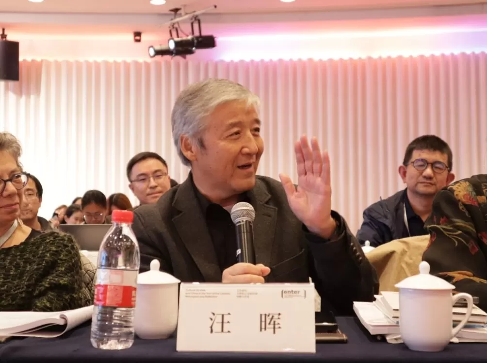 戴锦华与文化研究三十年-第5张图片-