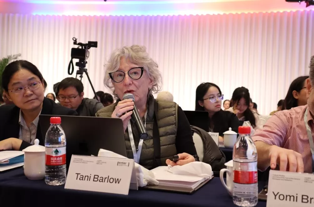 戴锦华与文化研究三十年-第4张图片-