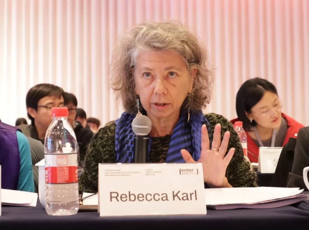 戴锦华与文化研究三十年-第6张图片-