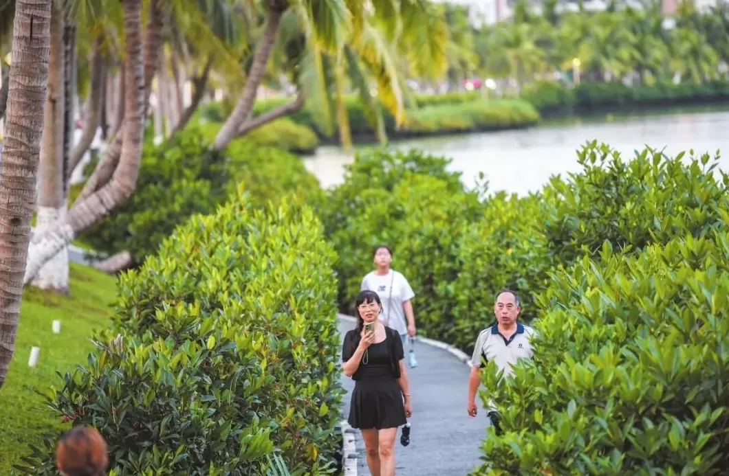 从艺术周到口袋公园，解码海口的“幸福基因”-第3张图片-