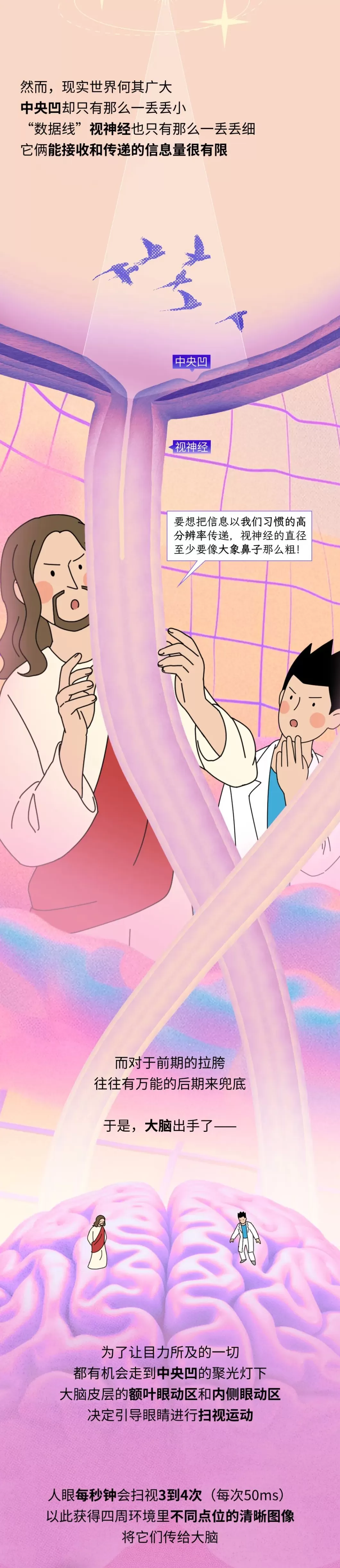 为什么大脑每天会让你失明2小时？-第3张图片-